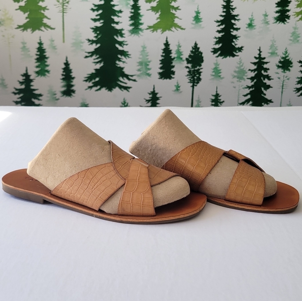 Tahari Tan Croc-Embossed Slide Sandals - Picture 2 of 5